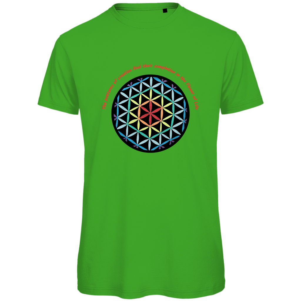 The patterns of creation find their completion in the Flower of Life
