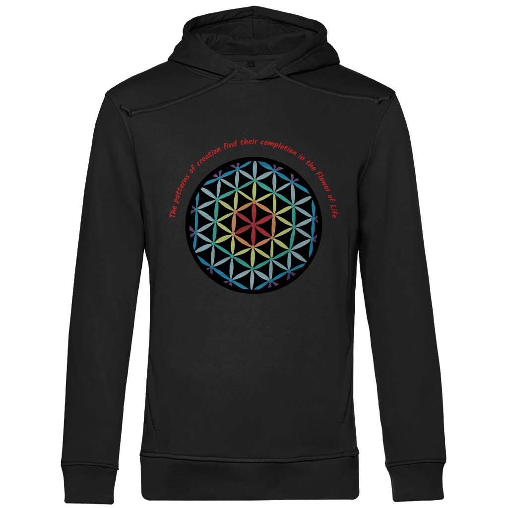 The patterns of creation find their completion in the Flower of Life