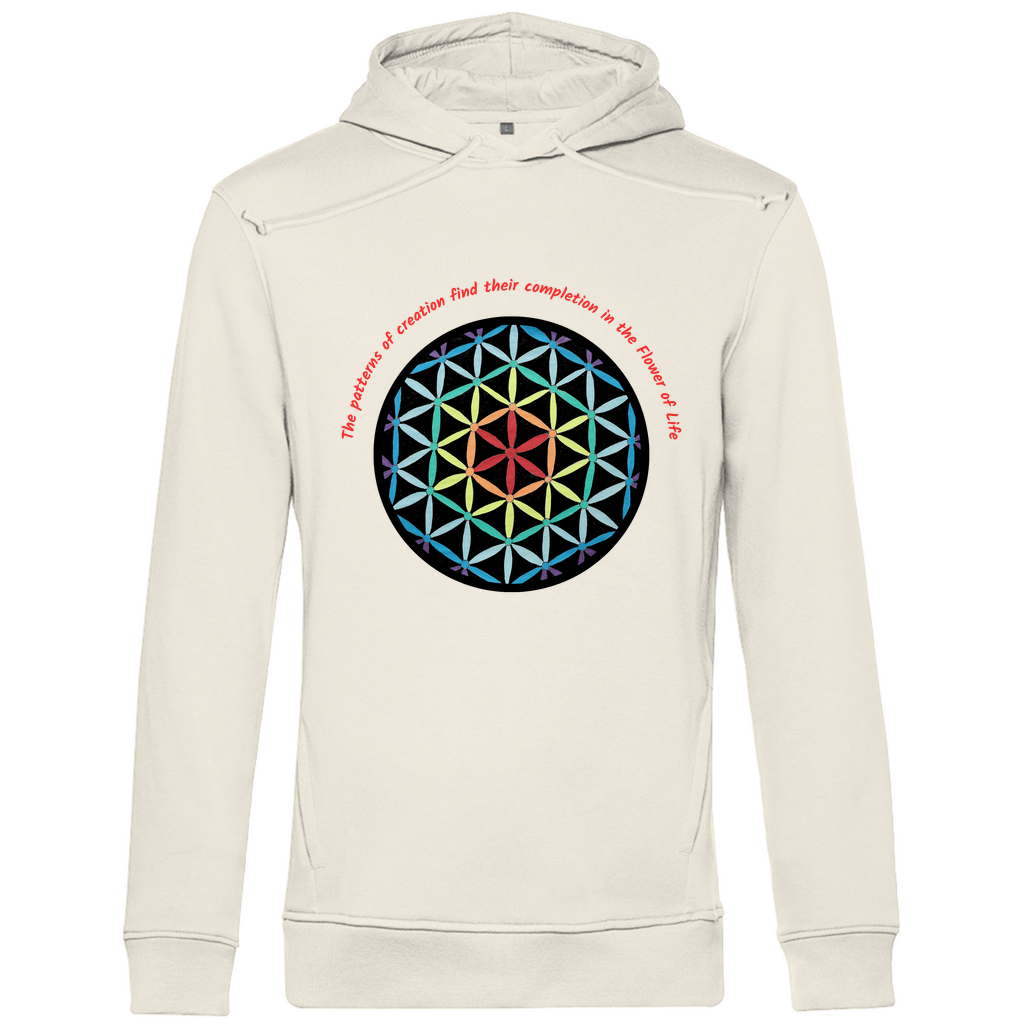 The patterns of creation find their completion in the Flower of Life