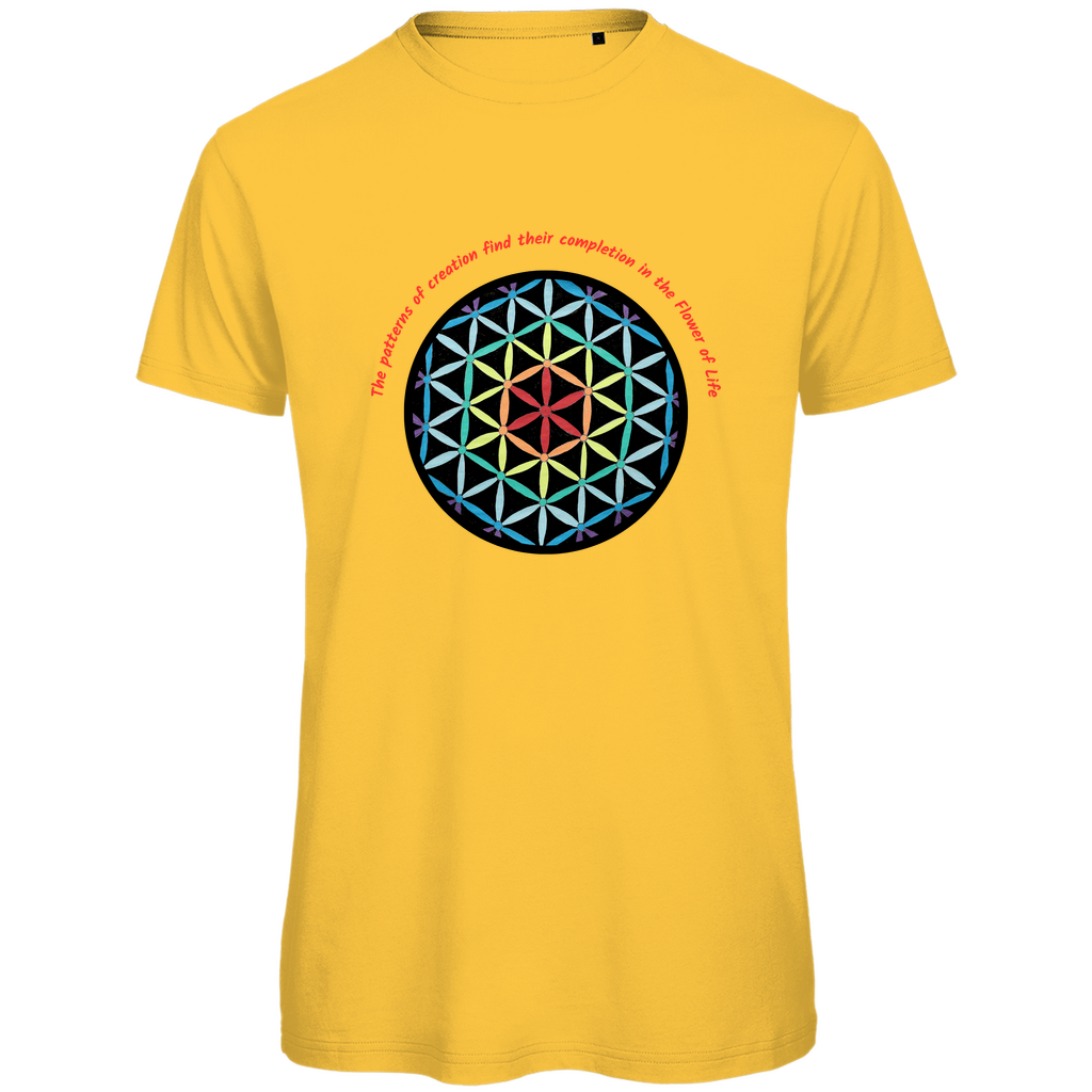 The patterns of creation find their completion in the Flower of Life