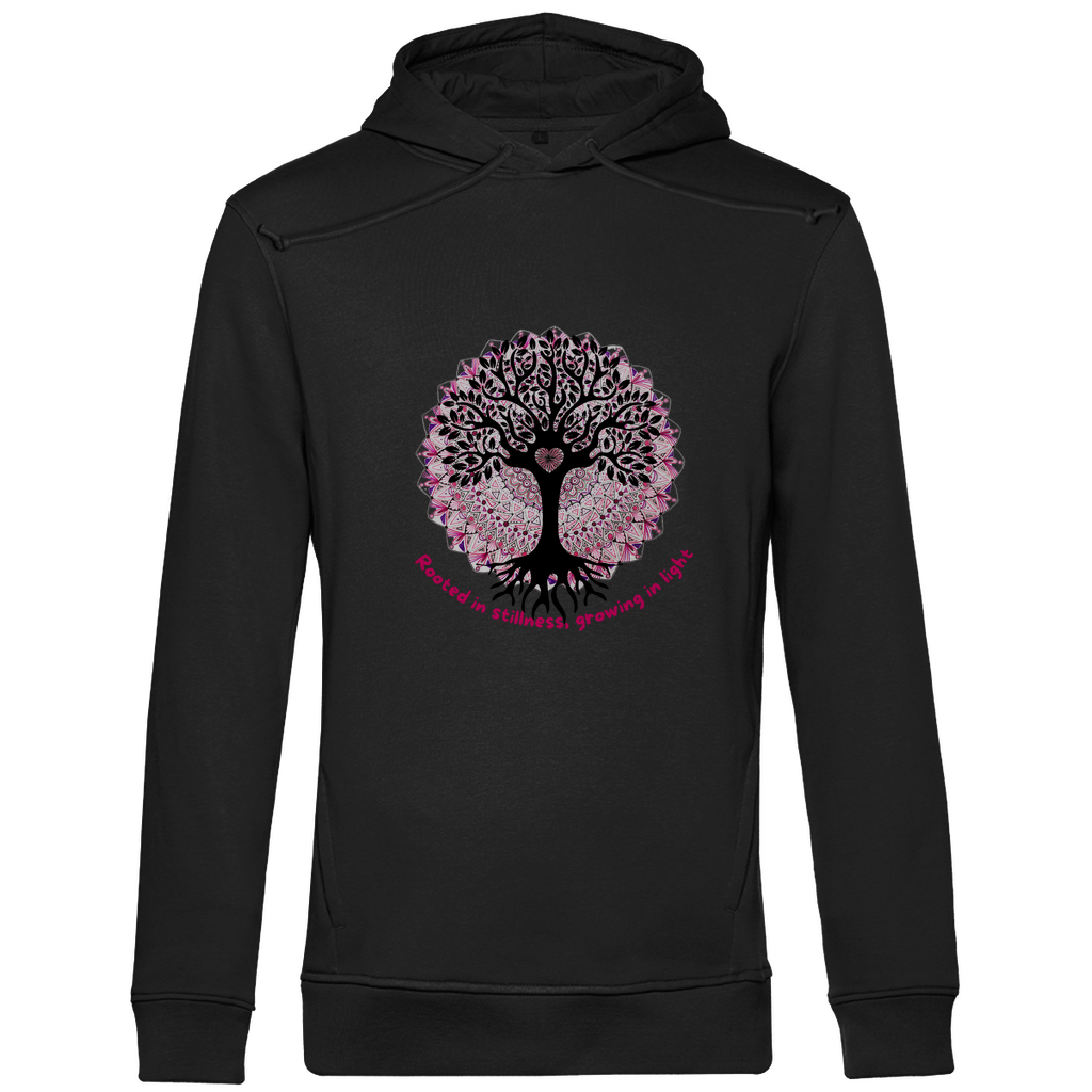 Rooted in stillness growing in light