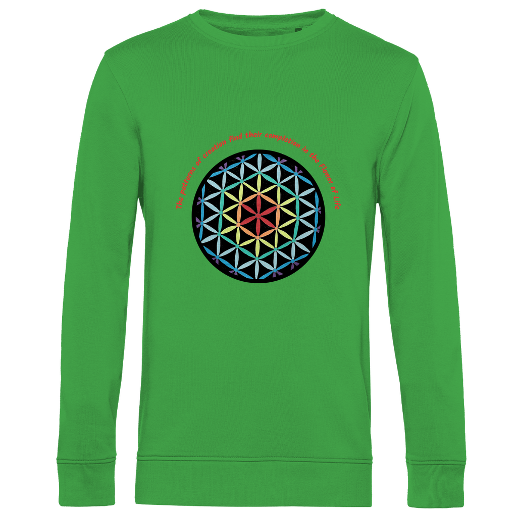 The patterns of creation find their completion in the Flower of Life