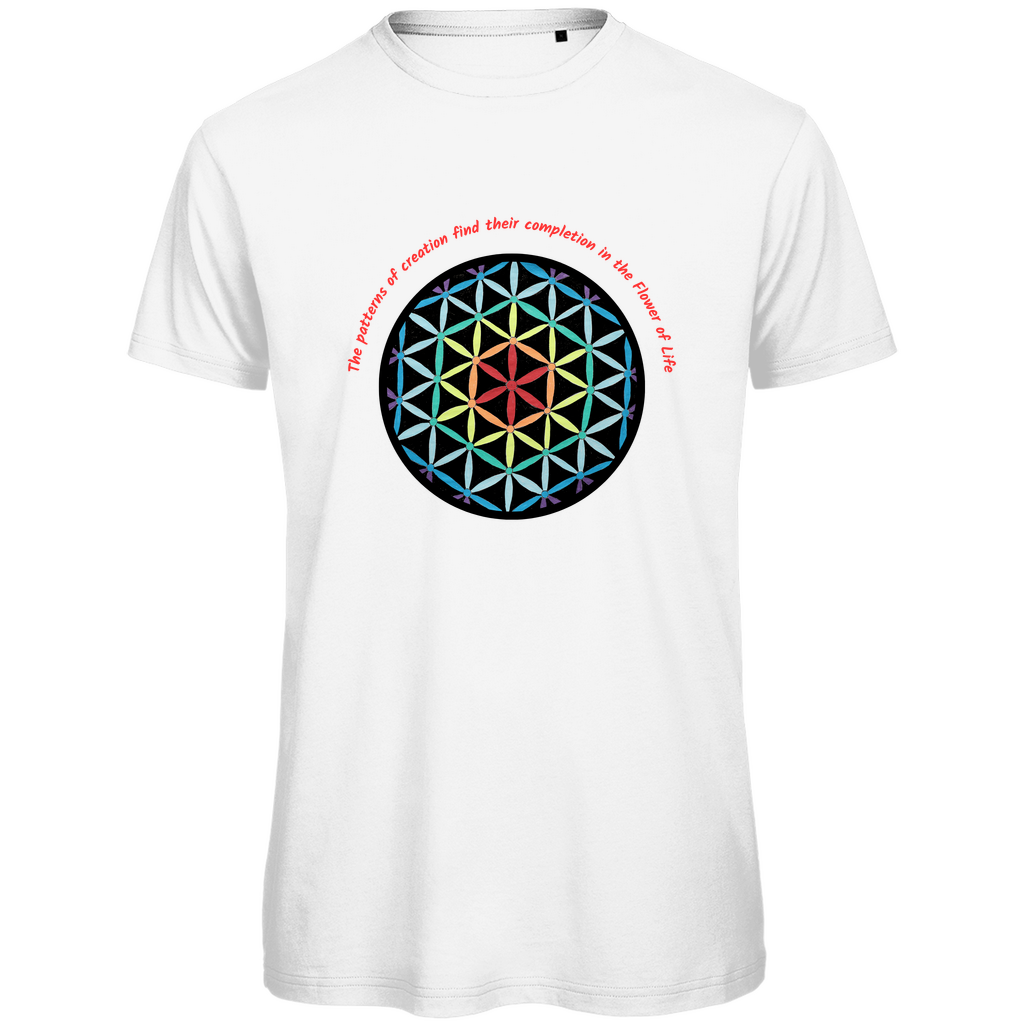 The patterns of creation find their completion in the Flower of Life