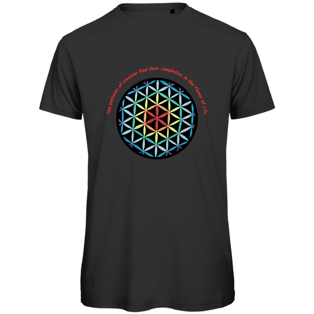 The patterns of creation find their completion in the Flower of Life