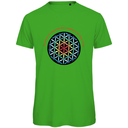 The patterns of creation find their completion in the Flower of Life