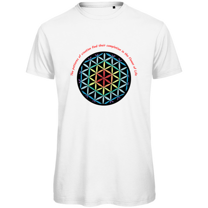The patterns of creation find their completion in the Flower of Life