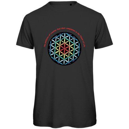 The patterns of creation find their completion in the Flower of Life